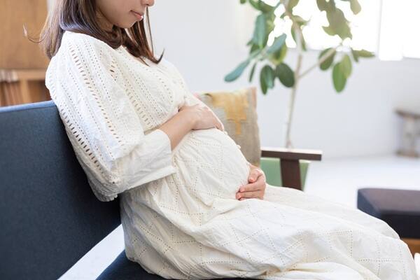 妊婦さんが多く来院している